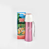 Image of DSY MICKEY MOUSE STEEL WATER BOTTLE